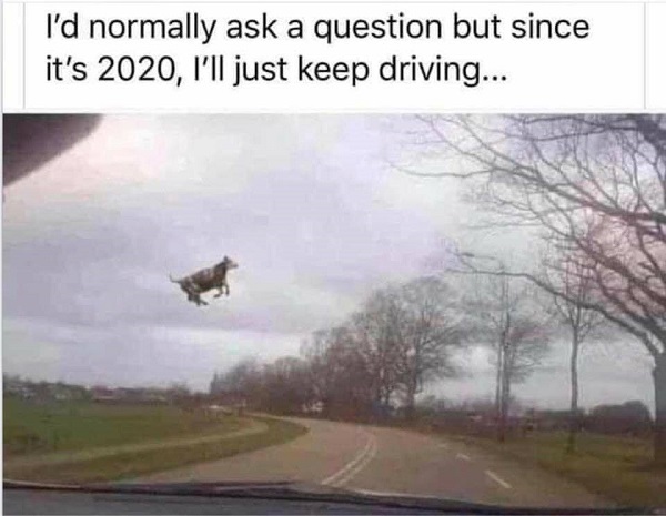 119968076_3697594243618476_2802784359689667881_n.jpg