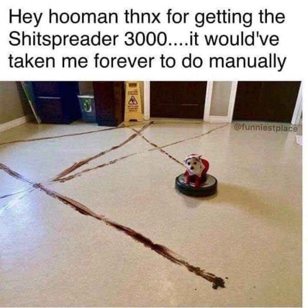 133603750_3885323891499611_3186787920079278014_n.jpg