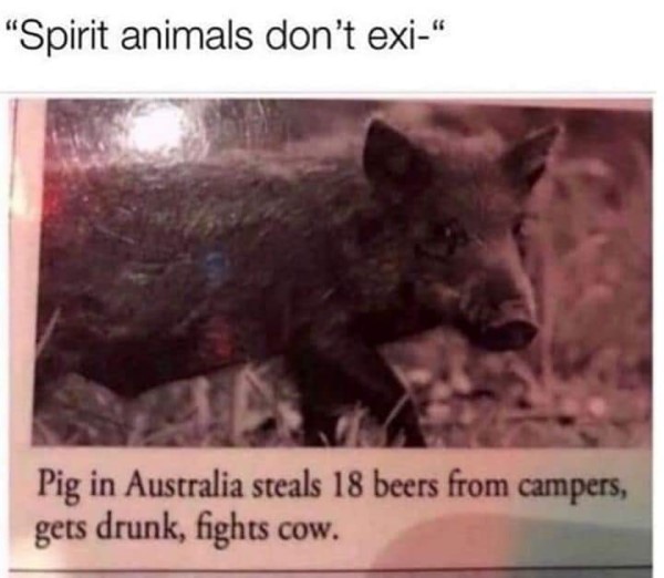 151978062_4022087177823281_459520403137324506_n.jpg