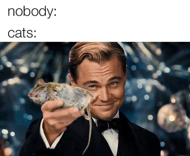 1596648947215.png