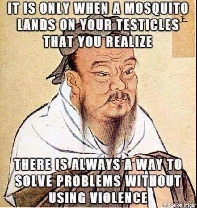 2412d30d69934297976fe751c0475683.jpg