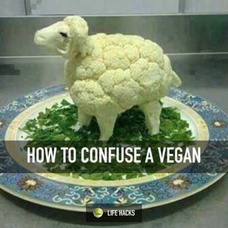 362c2bcc9b0c53a30e27876487f94c46.jpg