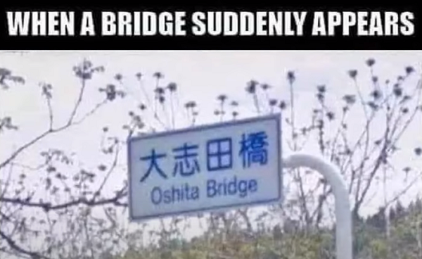 3c2aqiuludj51.png