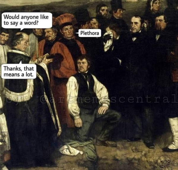 3fhbkzpe20w61.jpg