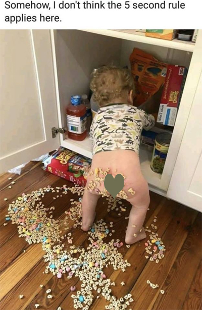 5 second rule.jpg