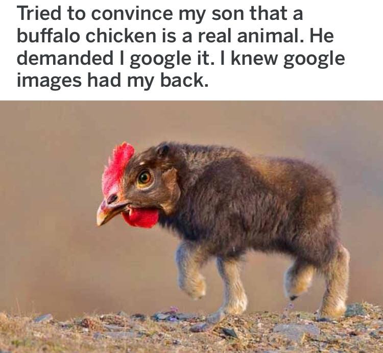 54279283_3127816993898669_507237767961378816_n.jpg