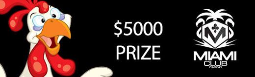 5kfunkychickenprize.jpg