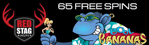 65FS BANANAS RS.jpg