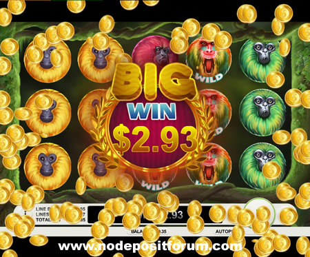 7 Monkeys slot NDF.jpg