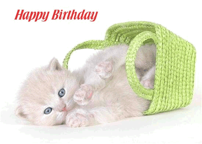 8.gif