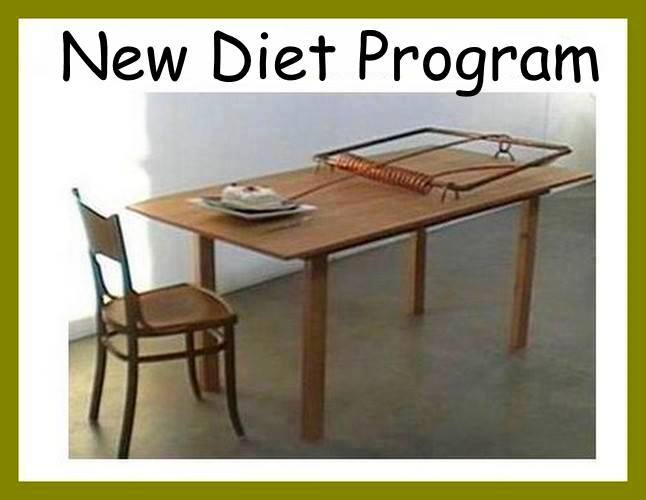 A-New-Diet-Program.jpg