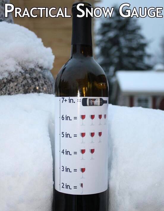 A-Practical-Snow-Gage.jpg