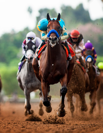 american-pharoah.jpg