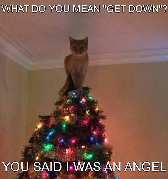 angel.png