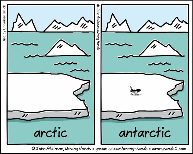 Artic-And-Antartic.jpg