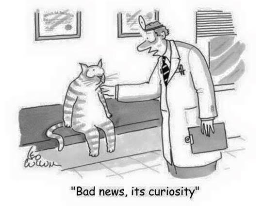 Bad-News....jpg