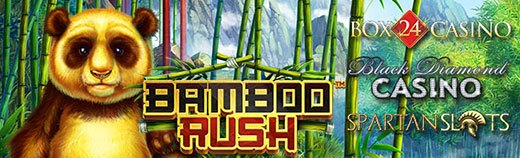bamboorush.jpg