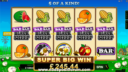 Bar Bar Black Sheep slot ndf.jpg