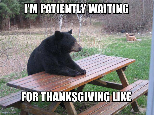 bear.jpg
