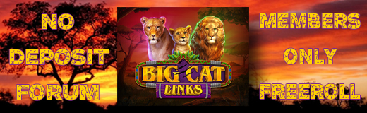 Big Cat Links  freeroll newsletter.jpg