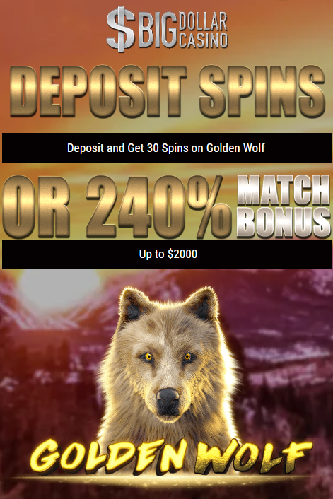 big dollar casino no deposit forum.jpg