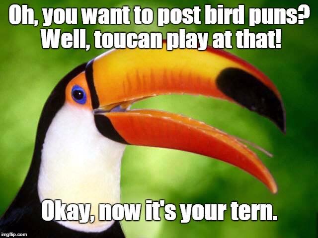 Bird-Puns.jpg