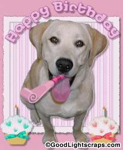 birthday-glitter-37.gif