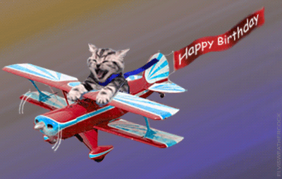 birthday-pilotcat (1).gif