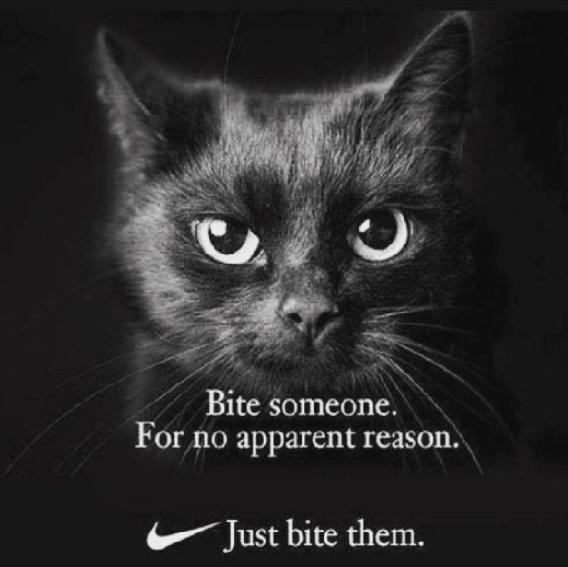 bite.png