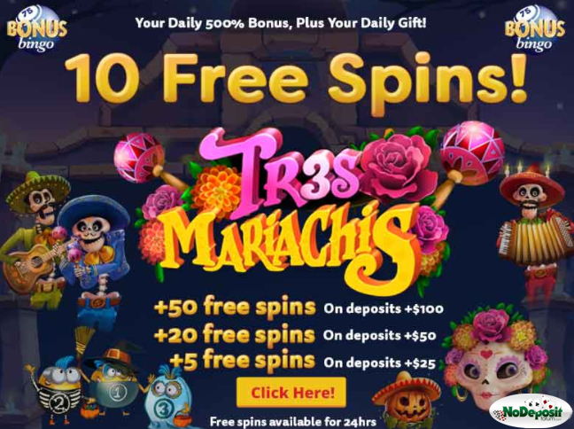 bonus bingo no deposit bonus.jpg