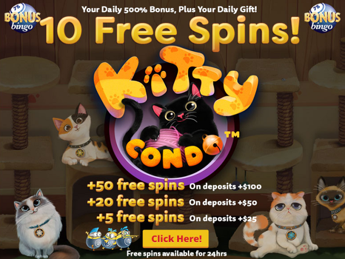 bonus bingo no deposit forum.png