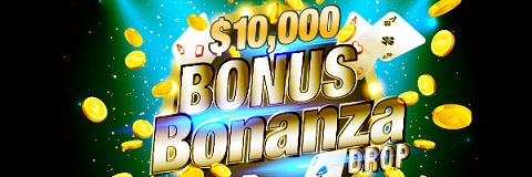 Bonus Bonanza.jpg