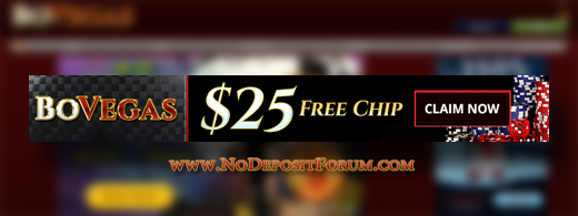 BoVegas Casino newsletter.jpg