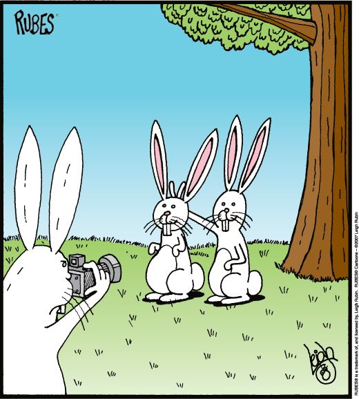 bunny.jpg