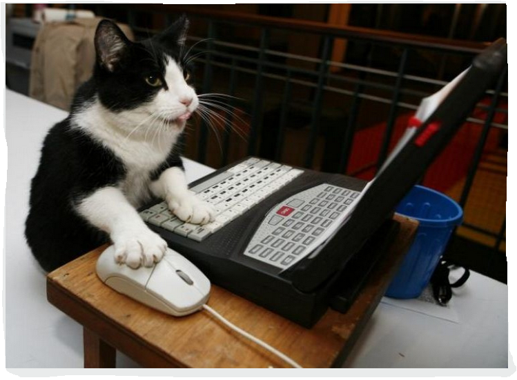Capture.PNG the typing pool.PNG
