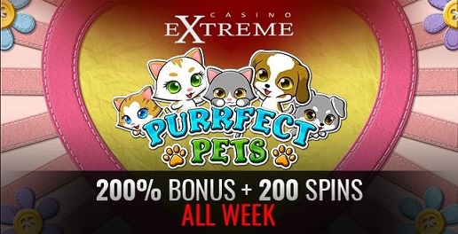 Casino Extreme.jpg