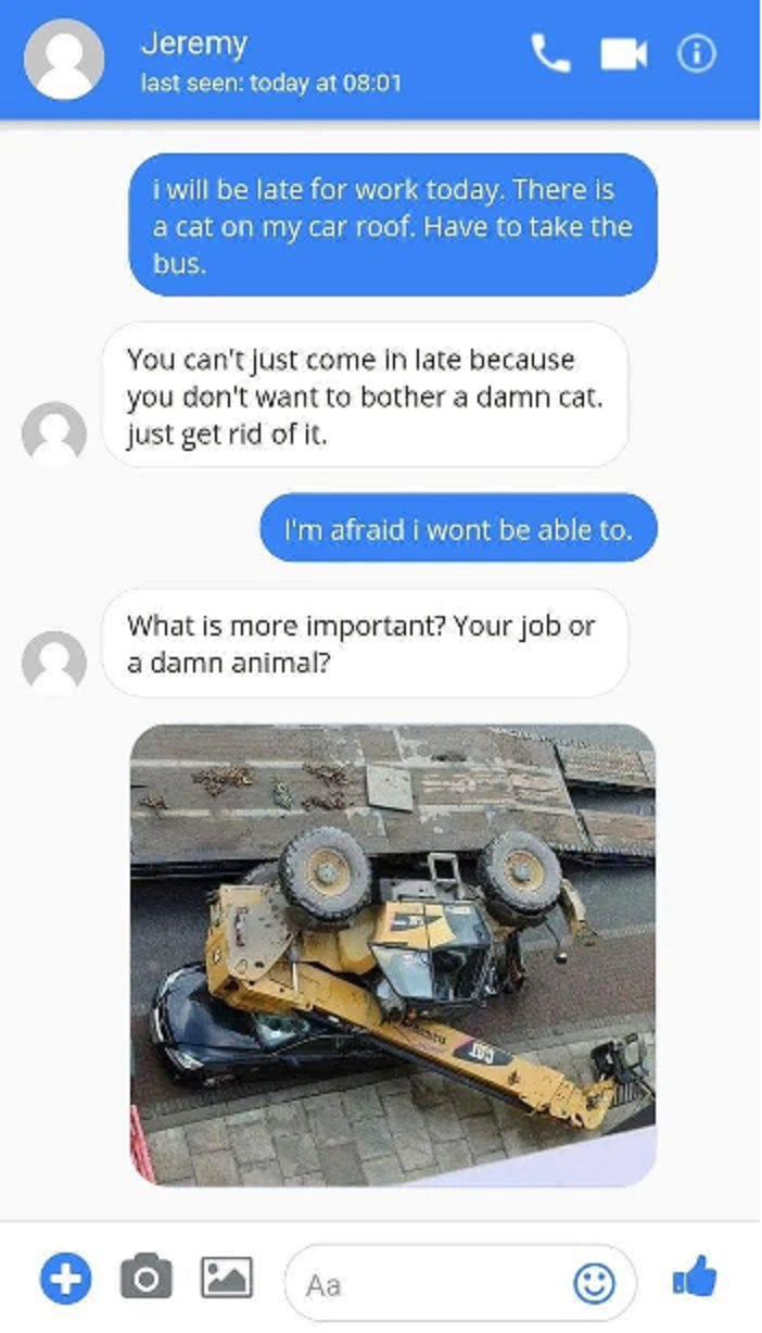 cat 2.png