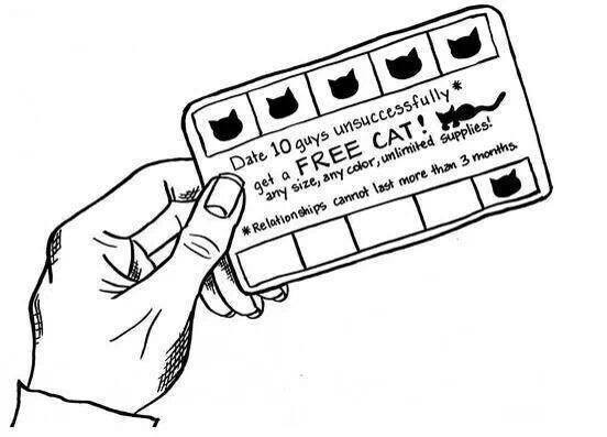 cat card.jpg