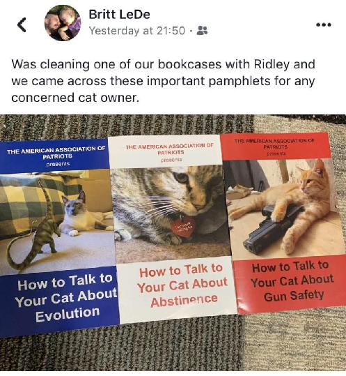cat.png