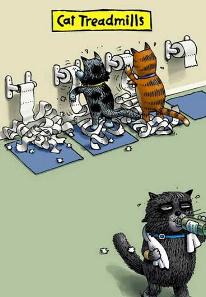 cats.png