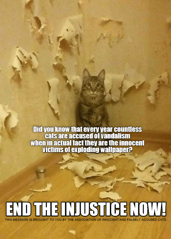 cats.png