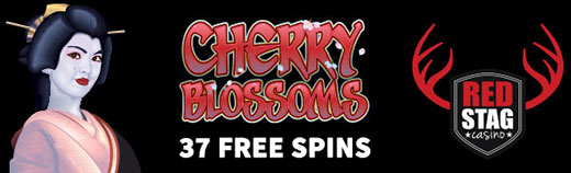cherrybbb.jpg