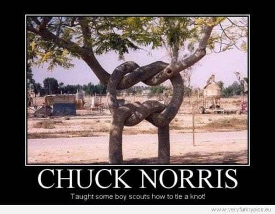 chuck2.jpg