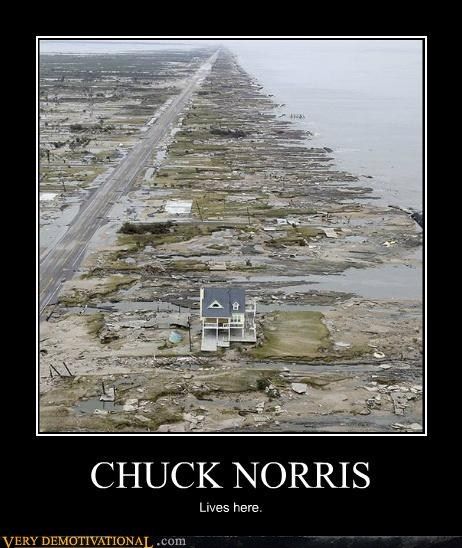 chuck3.jpg