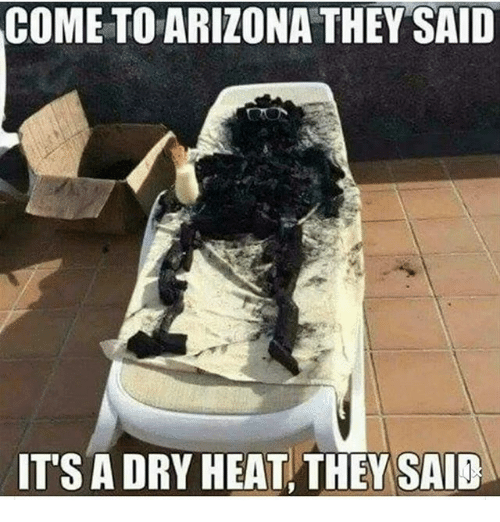 come-to-arizona-they-said-its-a-dry-heat-they-23727838.png