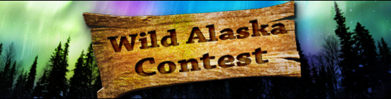 Contest Banner.jpg