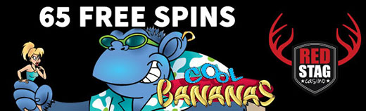 coolb_spinns.jpg