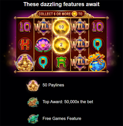 CRYPTO REELS NO DEPOSIT FORUM 2.jpg