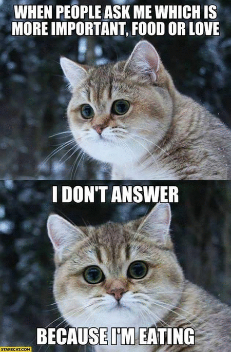 cuz im eating.gif