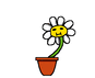 dancing flower pot.gif